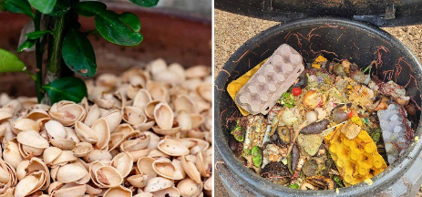 8 Surprising Benefits Of Pistachio Shells For Your Garden