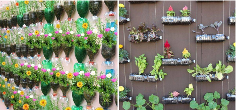 How to Make Your Own Vertical Garden And Care For Them